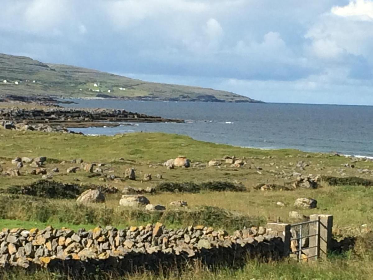 Atlantic Garden Lodge Lisdoonvarna Exteriér fotografie